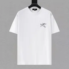【今日特価】Arcteryx アークテリクス 25ss プレミアムプリント T シャツ