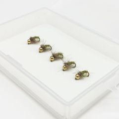 Item thumbnail for item 09bb9b18-9fcf-4b2b-b8e6-dabedd729e4e