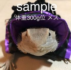 【19 コス】フトアゴヒゲトカゲ 爬虫類 洋服 帽子 フード M L LL