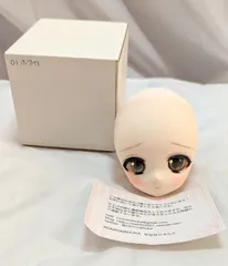2025年最新】DD DDH-01 カスタムの人気アイテム - メルカリ