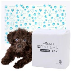 Item thumbnail for item 0d449c85-be13-45a1-9335-99ebff26123f