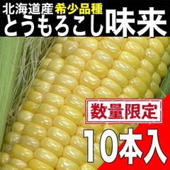 【数量限定】希少品種 北海道産とうもろこし 味来（みらい）Lサイズ  10本入り
