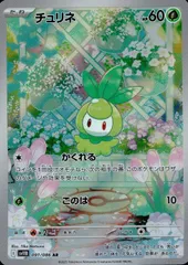 091/086/SV11B/B/AR チュリネ