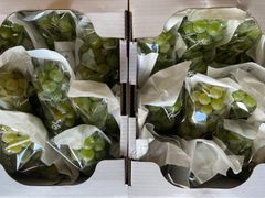 山形産　ぶどう　ナイヤガラ　4kg