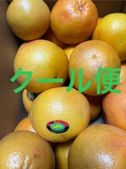 グレープフルーツ（ルビー）箱込6.5キロ程度 トルコ産