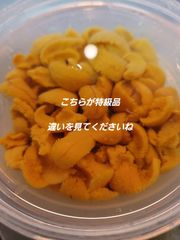 ちょっとだけ訳あり 塩水バフンウニ100g6980円！！
