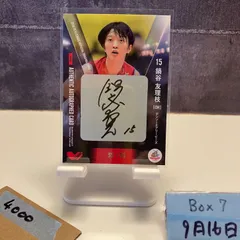 DENSO AIRYBEES ベスト　レア！非売品！ DENSO AIRYBEES ベストレア！非売品！