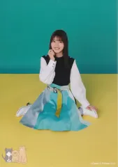 【中古】生写真(乃木坂46) 佐々木美玲/座り・「イマニミテイロ」衣装/佐々木美玲 過去衣装ランダム生写真