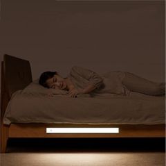 Item thumbnail for item 648847ce-2f81-4f29-a82b-9f2541c88170