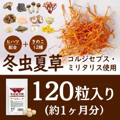 値下げ　大和霊芝　3箱セット　鹿角霊芝　新品未開封 新品未開封☆大和霊芝☆エクセルヒューマン鹿角霊芝抽出物加工