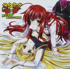 希少]ハイスクールD×D TVアニメまるわかり♥どきどきブック【非売品