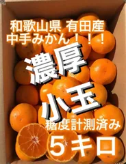 有田ミカン 5kg 超濃厚小玉【最終販売、フォローして下さい】