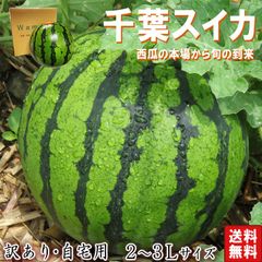 厳選大玉スイカ 約7～9kg 1玉入り 訳あり品 千葉県産 大玉～特大サイズ 空洞・棚落ち含む 富里・成田・船穂を始めとした国内屈指の産地が誇る旬の味！