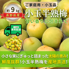 小玉半熟梅 ～甘い香りに包まれて～ 【内容量】約9kg【配送方法】通常配送【サイズ】L以下【品目】梅（うめ）【品種】当店お任せ【産地】長野県【規格】ご家庭用A品B品混合【詰め方】バラ詰め【配送までの日数】1～4日