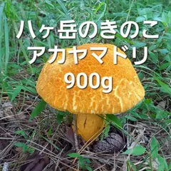 北海道産　アカヤマドリ2kg 2025年最新】アカヤマドリの人気アイテム - メルカリ