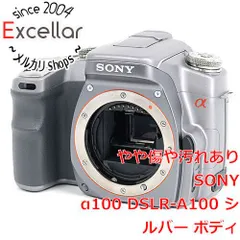 2024年最新】α9 dslr－a9の人気アイテム - メルカリ