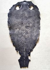 鮫皮問屋 - メルカリShops