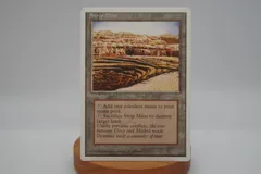 MTG 露天鉱床 / 日本語版【2枚セット】 露天鉱床/Strip Mine》[RIN] 土地R | 日本最大級 MTG通販サイト