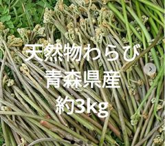 乾燥ワラビ 天然物約100g 山菜 野菜 - メルカリ