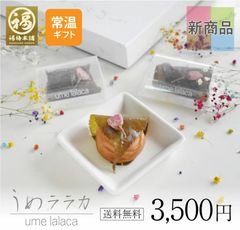 最高級紀州南高梅 はちみつ梅干し 桜花・桜葉巻き 「うめララカ 9粒」