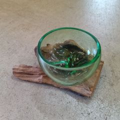 天然木 手吹きガラス アクアリウム オブジェ インドネシア 古木 職人 植物 テラリウム インテリア 癒し プレゼント ハンドメイド 唯一無二