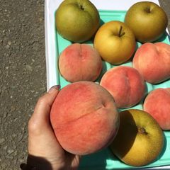 安心メルカリクール便対応減農薬栽培山形県東根市産　贈答ライン和梨&川中島桃　5キロ箱