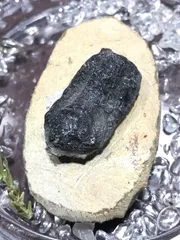 貴重骨董【三葉虫化石硯】化石約２億５１００万年最高級書道具希少珍品新品未使用です 貴重骨董【三葉虫化石硯】化石約2億5100万年最高級書道具