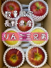 りんご三兄弟詰合せ(秋映、シナノスイート、シナノゴールド)約2kg
