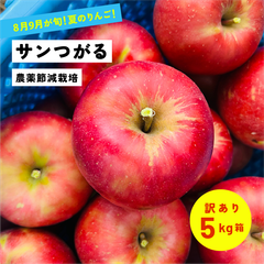 8月21日から9月15日発送 指定日不可「つがる5キロ訳あり品」 農林水産大臣賞 長野県産 安曇野 信州産 産地直送