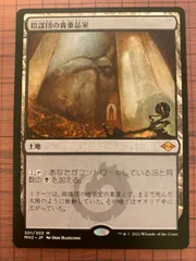 春夏秋冬おさんぽシリーズ Ｅ MTG 陰謀団式療法 PSA8 | tatihome.com