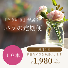 【まのさんのばら】カジュアル定期便 10本入り 1,980円×3回 Aコース