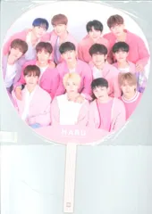 SEVENTEEN 2019HARU 集合 うちわ 集合