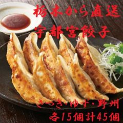 栃木 宇都宮餃子さつきセットさつき×15 ゆず×15 野洲×15 1410024