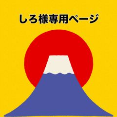 しろ様専用ページ‼️野菜詰め合わせセット‼️100