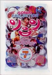 【中古】邦楽DVD ソニン/ソニンコレクション