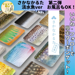 さかなかるた 淡水魚ver グッドデザイン賞 第二弾 触って楽しい お風呂で遊べる 知育玩具 カルタ 千葉印刷  大人気 プレゼント