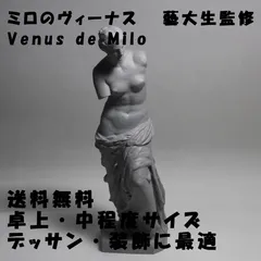 2025年最新】ミロのヴィーナス 石膏像の人気アイテム - メルカリ