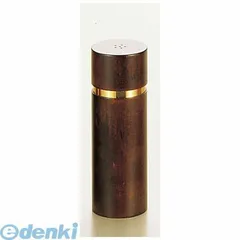 【新品・7営業日以内発送】PPP52005 ＩＫＥＤＡ ＥＴ－５Ｓ ソルトシェーカー 4905001209758 TKG イケダ ソルトシェイカー 塩入れ【沖縄離島販売不可】