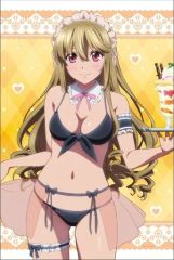 超電磁砲 ドンキ 食蜂操祈 描き下ろしB2タペストリー 水着メイドver 