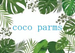 サンゴ 置物 サンゴ礁 珊瑚礁 パイプオルガン珊瑚 珊瑚 サンゴ 赤珊瑚