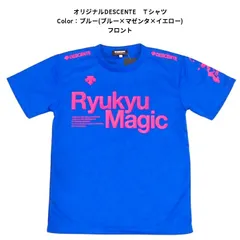 DESCENTE スポーツマジック Tシャツ 2015年全日本高校選手権 DESCENTE スポーツマジック Tシャツ 2015年全日本高校選手権