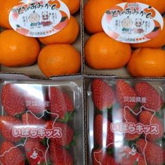 とぴあみかん、いばらキッス
