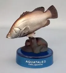 2025年最新】四万十川アカメの人気アイテム - メルカリ