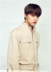 【中古】クリアファイル(男性アイドル) ディノ A4クリアファイル 「SEVENTEEN WORLD TOUR ＜ODE TO YOU＞ IN JAPAN」