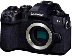 2025年最新】lumix g99の人気アイテム - メルカリ