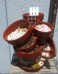 5296組鉢★多肉植物用