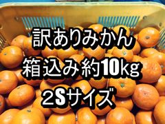 訳ありみかん　箱込み約10kg　２Ｓサイズ