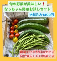 なっちゃん野菜お試しセット