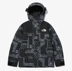 2025年最新】north face ペイズリーの人気アイテム - メルカリ
