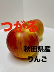 秋田県産　りんご　つがる　５キロ14玉